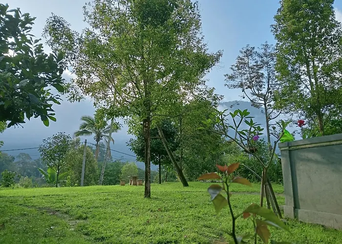 Jepun Lemukih Singaraja